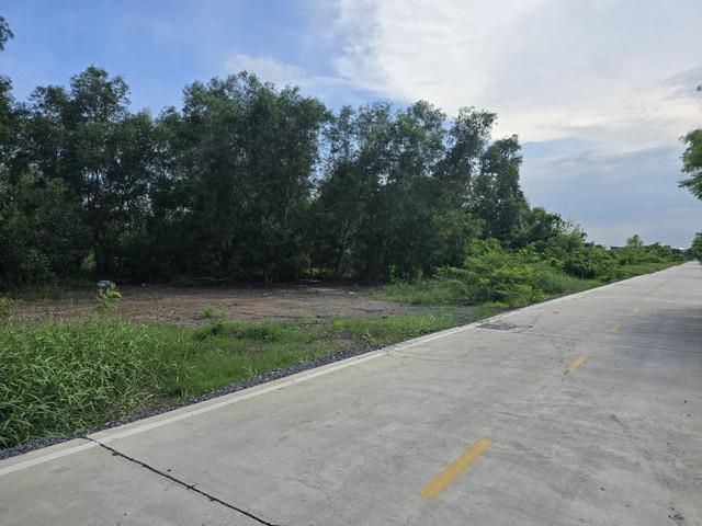 ขายที่ดิน คลองหลวง ปทุมธานี ทำเลดี ใกล้อบต.คลองสาม และใกล้วัดธรรมกาย 8