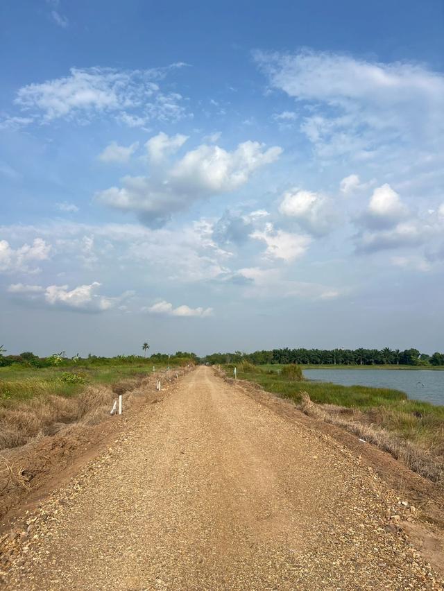 ที่ดินวิวบึง คลอง 10 หนองเสือ ปทุมธานี — แปลงละ 100 ตร.ว. 10
