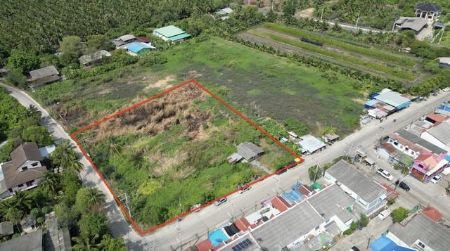 ขายที่ดินทำเลทอง ต.คลองใหม่ สามพราน นครปฐม ติดถนน 2 ด้าน 6