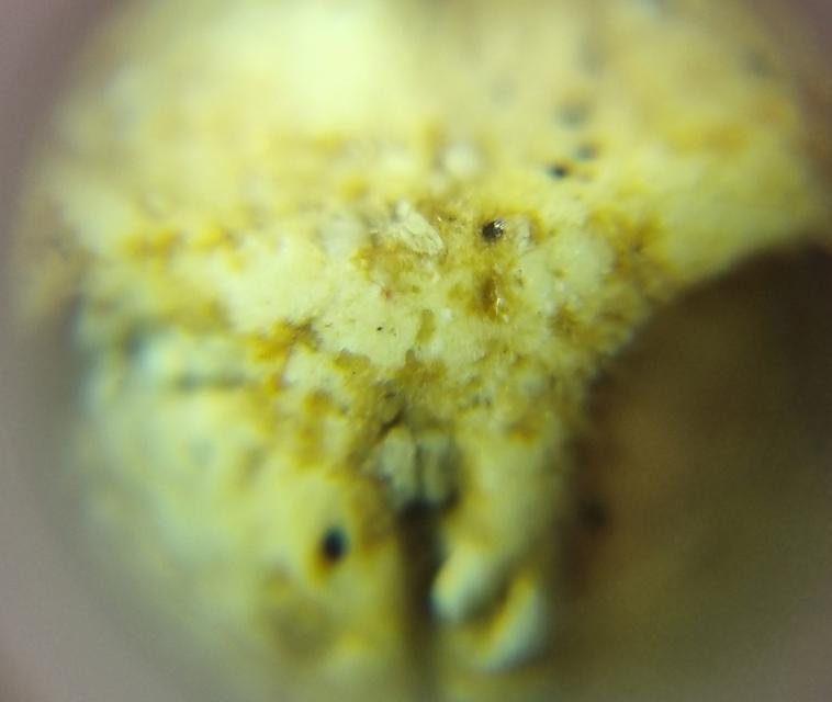 พระสมเด็จ 10