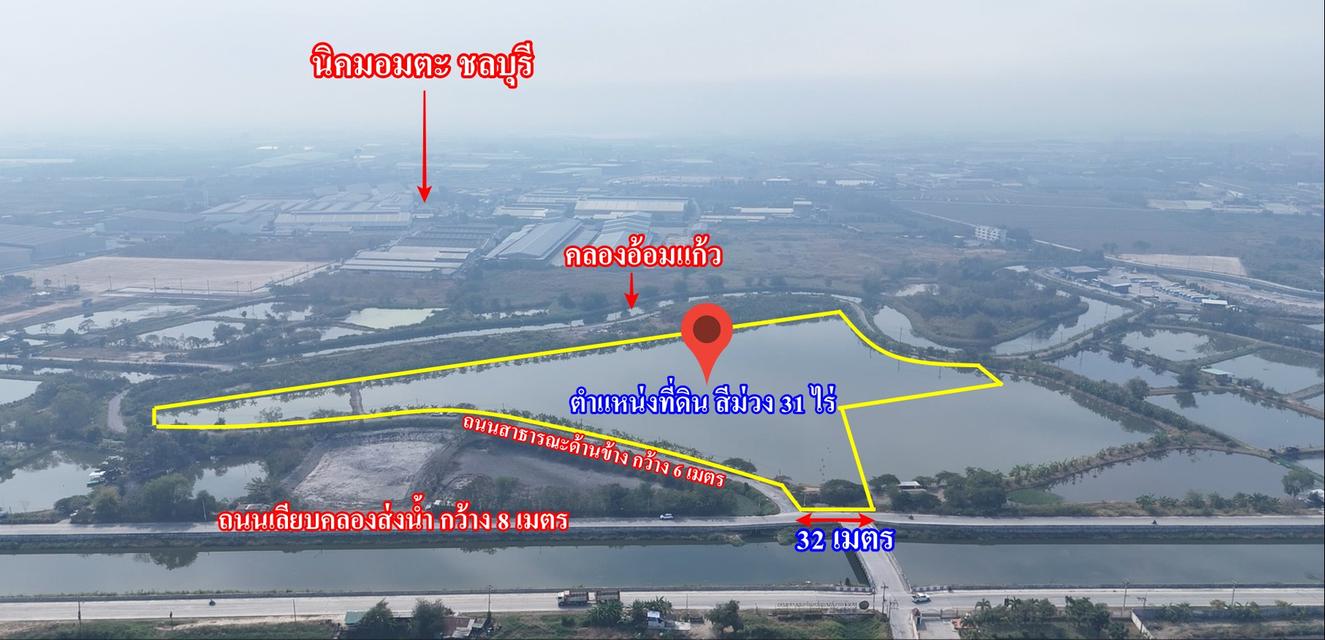 ขายที่สีม่วง  31  ไร่ ใกล้ถนนเลียบมอเตอร์เวย์ สาย 7 ใกล้นิคมอมตะ ชลบุรี  ต.บางนาง อ.พานทอง จ.ชลบุรี 5