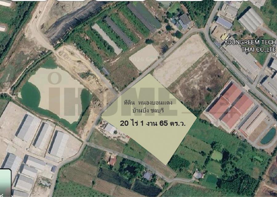 ขาย ที่ดิน บ้านบึง หนอง บอน แดง ชลบุรี(พร้อมสิ่งปลูกสร้าง) รูปที่ 5