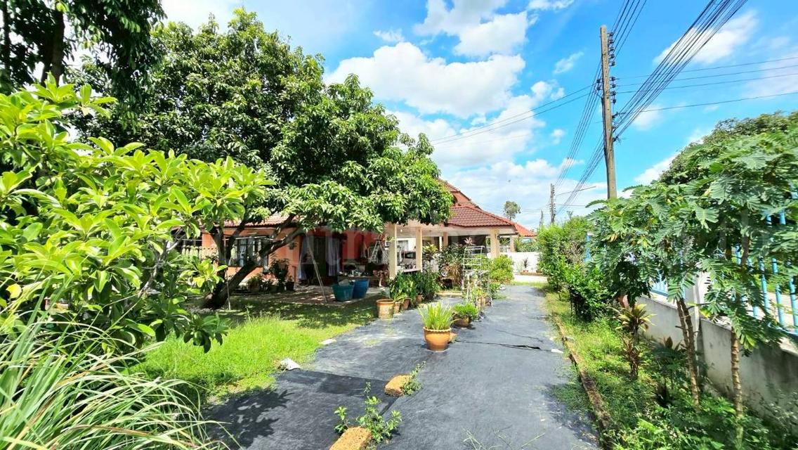 บ้านเดี่ยว พรธิสาร 6 รังสิต - คลอง 7 4