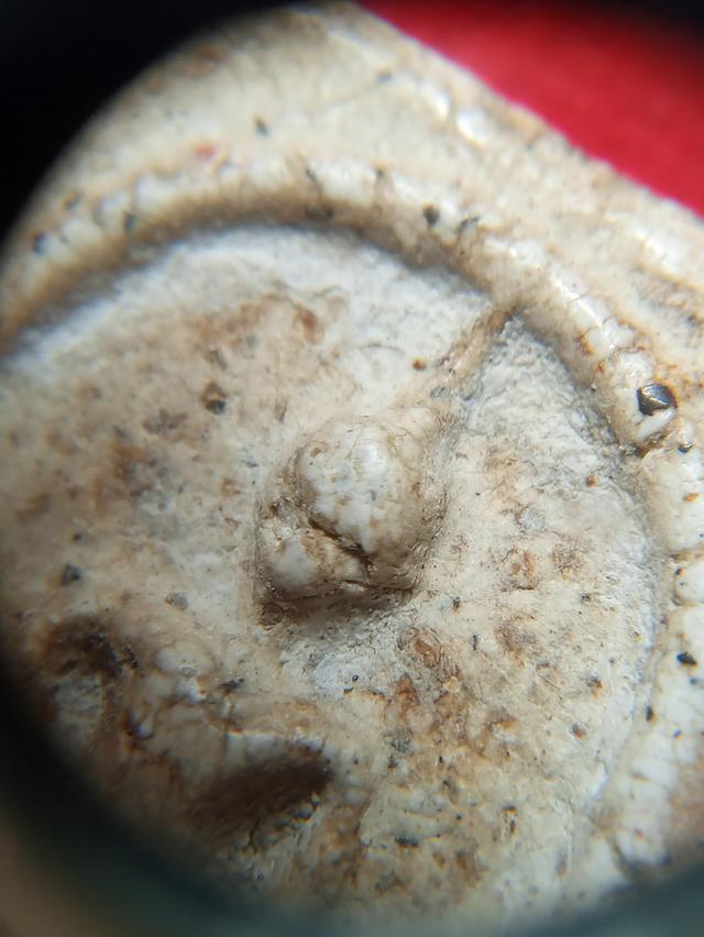 พระสมเด็จวัดระฆังพิมพ์ใหญ่ 7