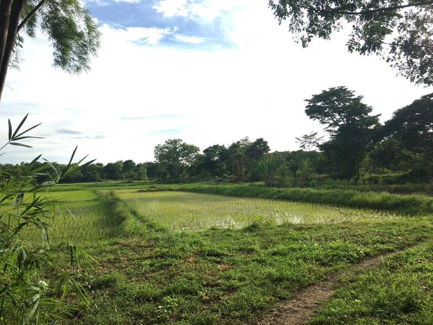ขายที่ดินลำปาง