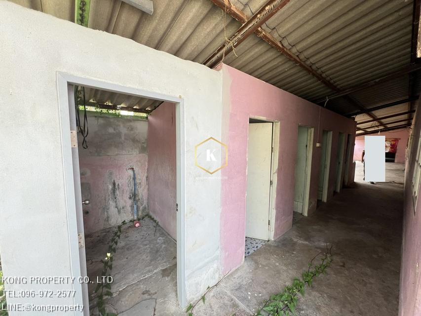 ให้เช่าโกดัง ล้งมะพร้าว พร้อมห้องเย็น สามพราน นครปฐม ขนาด 2 ไร่ 13