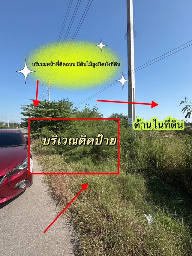  ขายที่ดิน 11 ไร่ 41 ตร.ว. ติดถนน โพธาราม-ราชบุรี 2