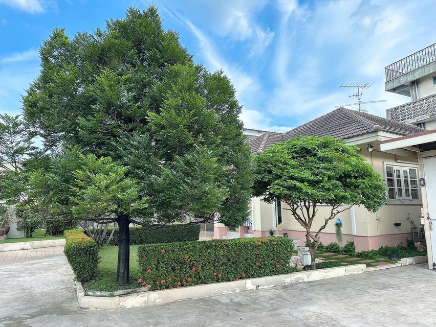 บ้านเดี่ยว พร้อมที่ดิน 6