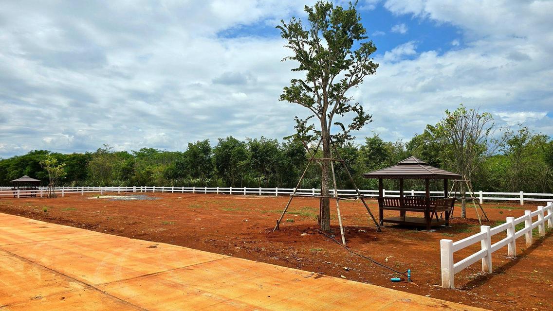 ไพลิน กรีนวัลเลย์ เขาใหญ่ ตำบล วังไทร อำเภอปากช่อง นครราชสีมา 10