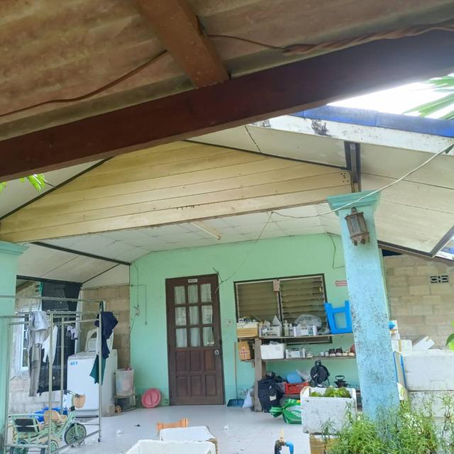 ขายบ้านพร้อมที่ดิน + กิจการผักไฮโดรโปนิกส์ พร้อมรายได้ทันที จ.ชุมพร 4