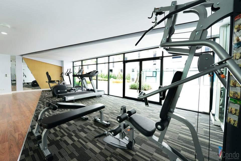 Condo for Rent iCondo Sukhumvit 105 9