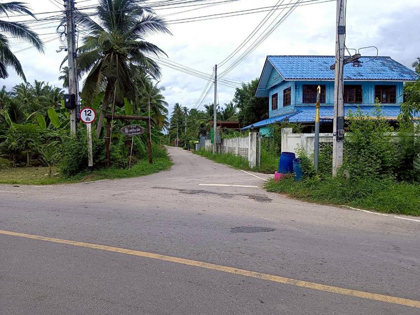 ขายที่ดิน เนื้อที่ 6-2-62 ไร่ ซอยเลียบนที ใกล้แม่น้ำแม่กลอง ใจกลางเมืองสมุทรสงคราม 7