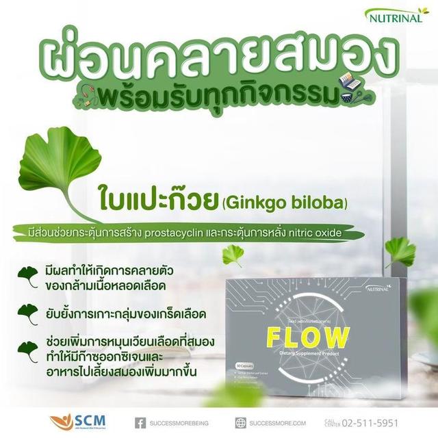 FLOW 4