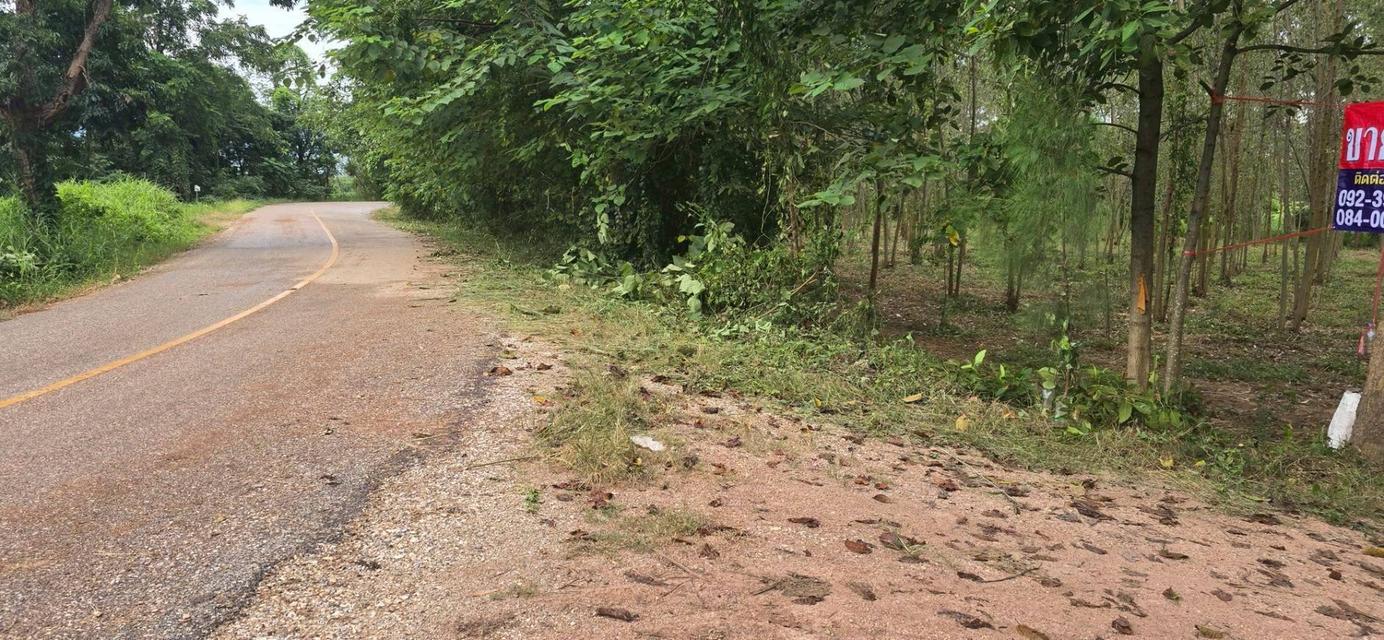 ที่ดินเปล่าถมแล้ว เนื้อที่ 10 ไร่ 1 งาน 14 ตร.ว. ถนนพหลโยธิน ต.ลานดอกไม้ตก อ.โกสัมพีนคร จ.กำแพงเพชร 4