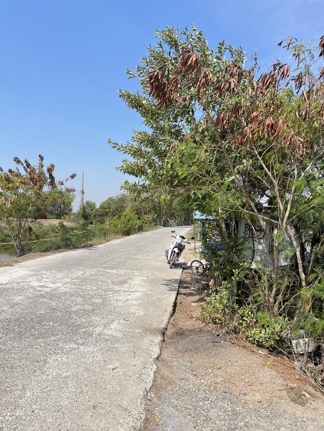 ขายที่ดิน 5 ไร่ ราคาย่อมเยาหาเงินปลดหนี้ 2