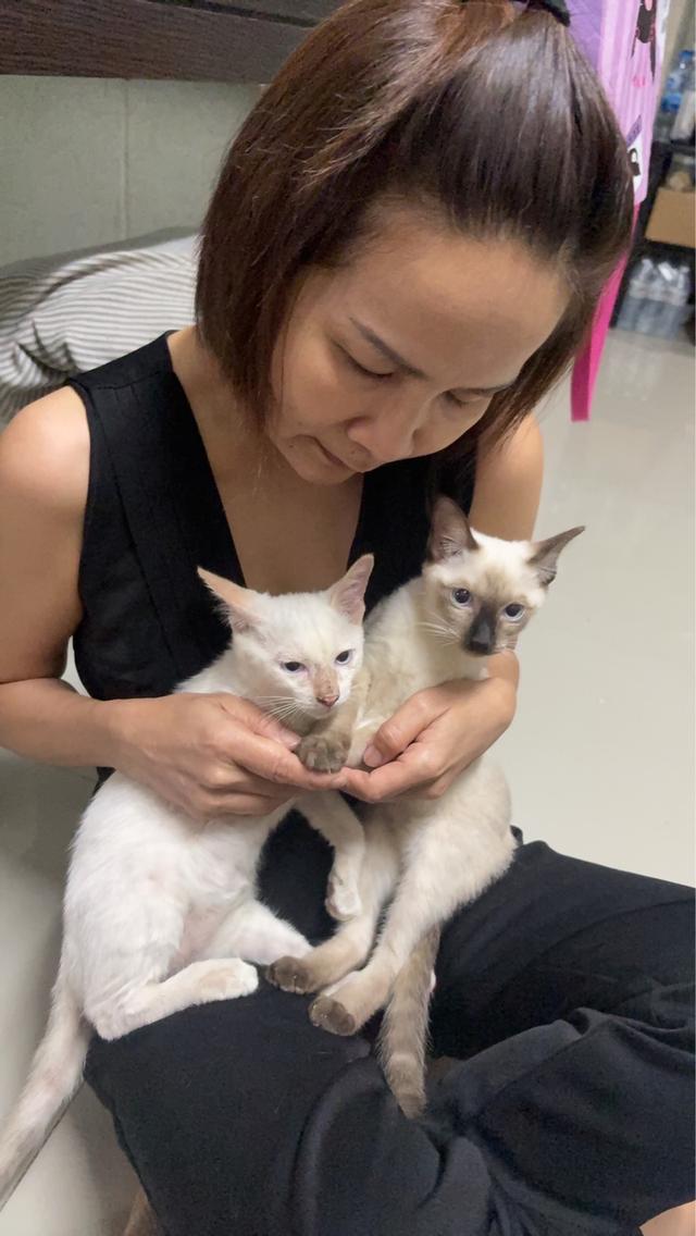 หาบ้านให้ลูกสาววิเชียรมาศ น้องสวย😇มีค่าสินสอดนะคะ รูปที่ 1