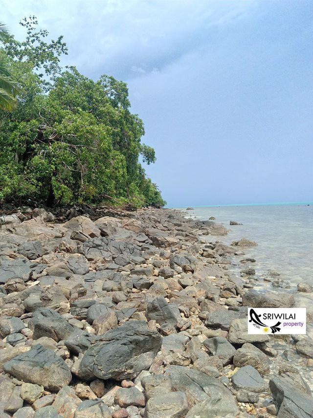 ขายที่ดิน24ไร่ ติดทะเลชายหาดพร้อมซีวิวหมู่เกาะน้อยใหญ่ในทะเลอ่าวไทยเกาะสมุย 3