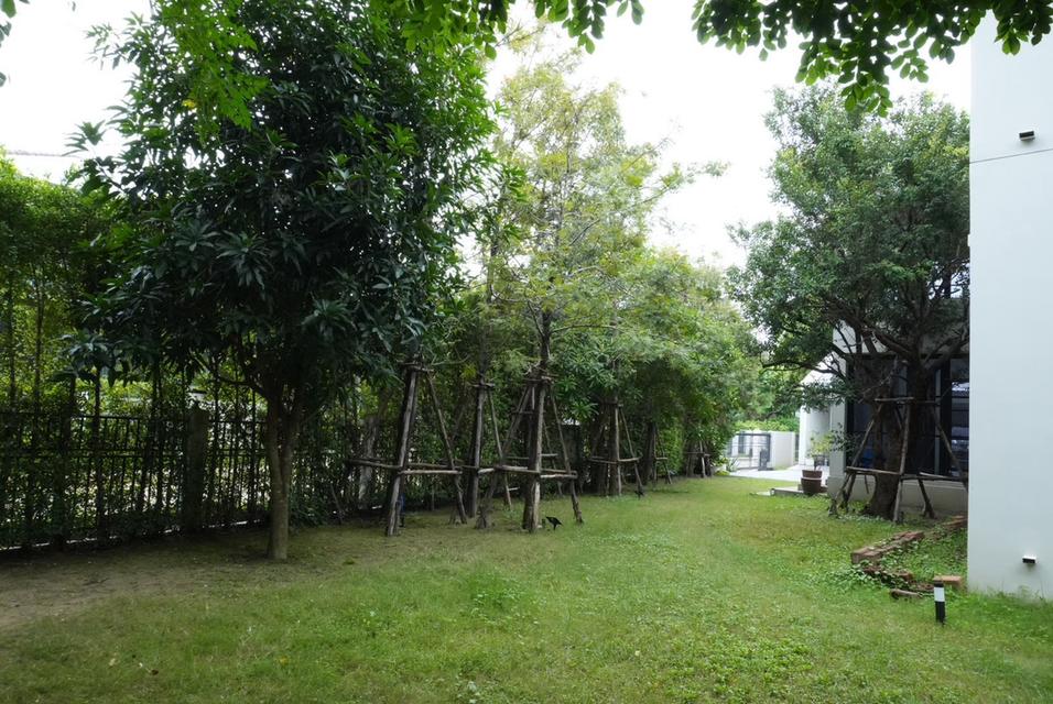 ขายบ้านหรูหลังใหญ่ 199 ตร.ว. พร้อมอยู่ | พื้นที่ใช้สอย 745 ตร.ม. | เพียง 28 ล้านบาทเท่านั้น!! 6