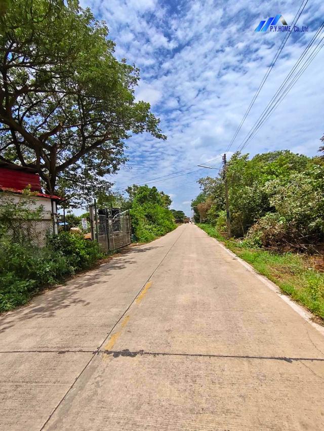 ขายที่ดินพร้อมสิ่งปลูกสร้าง 180 ตร.ว. คลองหลวง ปทุมธานี 4