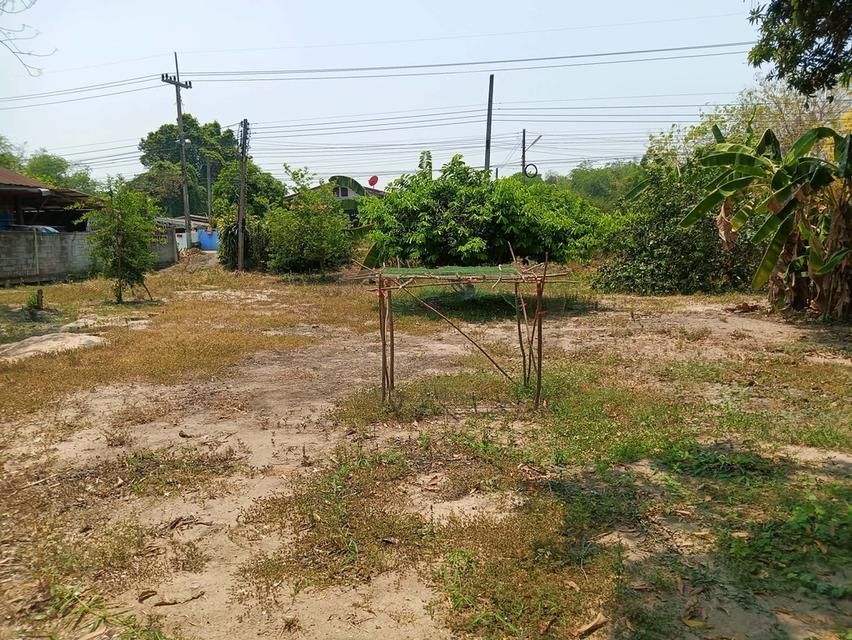 🔥 ขายที่ดินสวย ทำเลดี ใกล้เมือง เหมาะสร้างบ้าน 🔥 📍 พิกัด: บ้านหนองโรง ต.หนองกรด อ.เมือง จ.นครสวรรค์ 📐 เนื้อที่: 3 งาน 5 ตารางวา 💰 ราคาพิเศษ ยกแปล 5