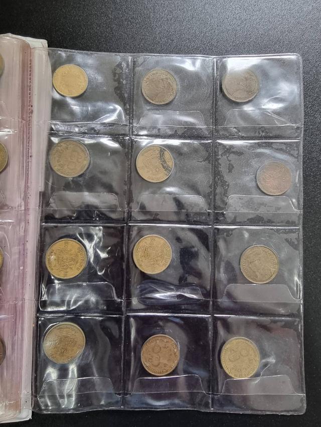 Coin Collection  6