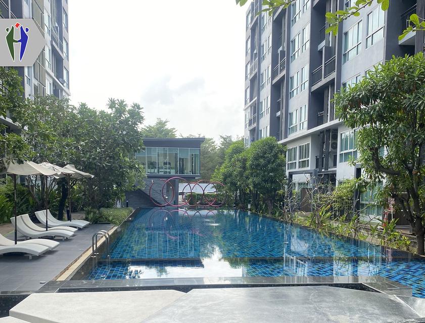 คอนโดให้เช่า พัทยาเหนือ เนทูเรซ่า  1 ห้องนอน 8