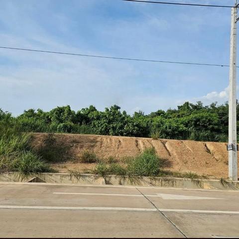 ให้เช่า ที่ดินศักยภาพสูง 140 ไร่ติดนิคมอุตสาหกรรมโรจนะ หนองใหญ่ จ.ชลบุรี พื้นที่สีม่วงลาย/พื้นที่สีเหลือง 4