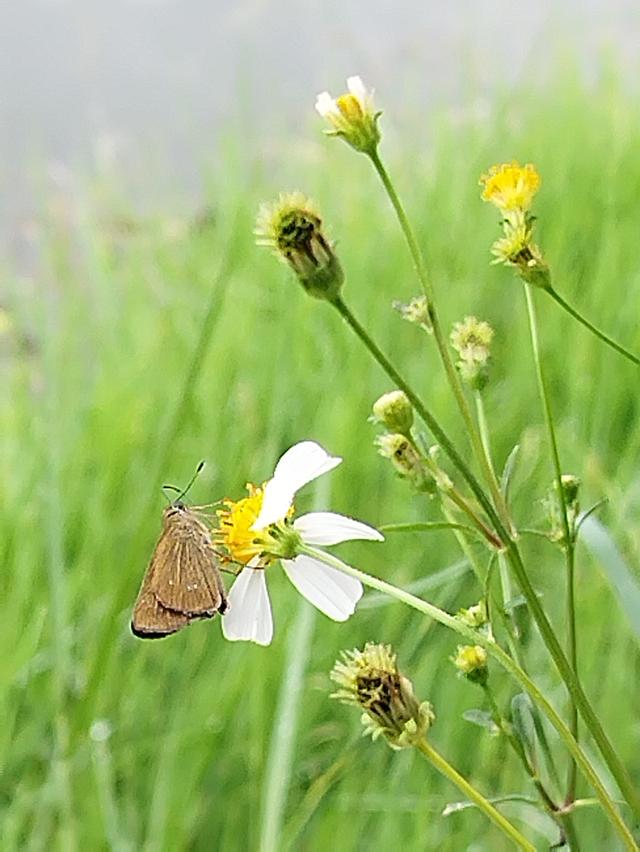 รูปภาพธรรมชาติ