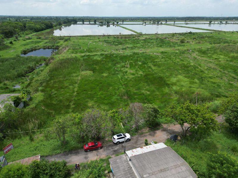 ขายที่ดิน รังสิตคลอง 13 ติดถนน ไร่ละไม่ถึงล้านโทร 061-9419-639 8