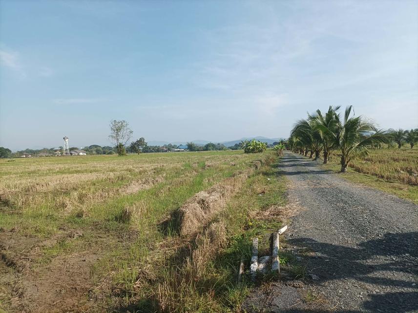 ขายที่ดิน5ไร่ วิวสวย ต.ป่าป้อง อ.ดอยสะเก็ด จ.เชียงใหม่ 5