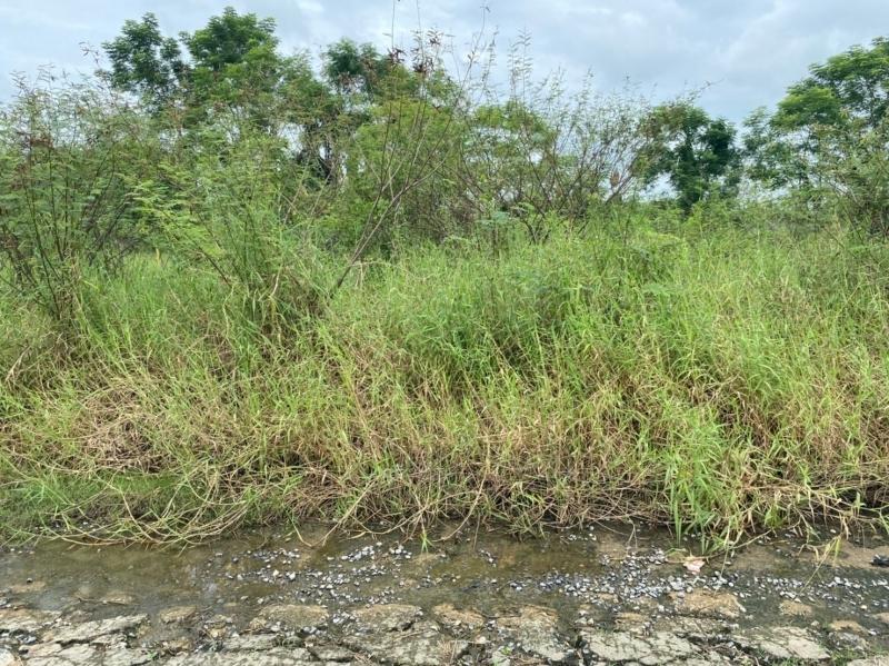 อสังหา 3