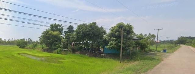ที่ดิน เนินมะปราง 3 ไร่ 7