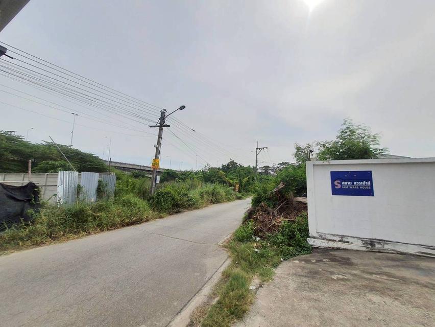Vายที่ดินใกล้โรบินสันสมาน 172.5 ตารางวา ติดถนนคอนกรีตสาธารณะ ศรีสมาน ซอย 5 อ.ปากเกร็ด จ.นนทบุรี 6