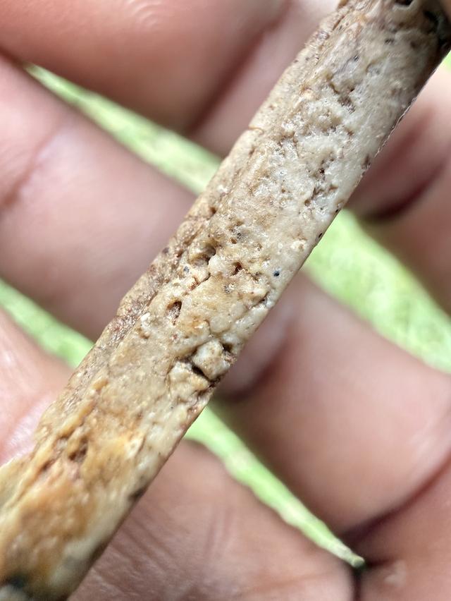 พระสมเด็จวัดระฆังวัดระฆัง