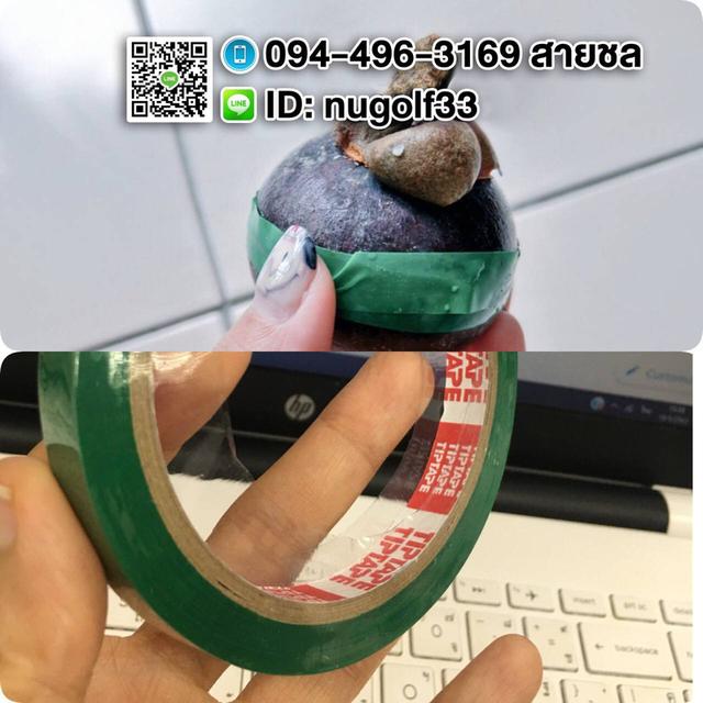เทปรัดปากถุงราคาส่งTIP-CSC รูปย่อยที่ 2