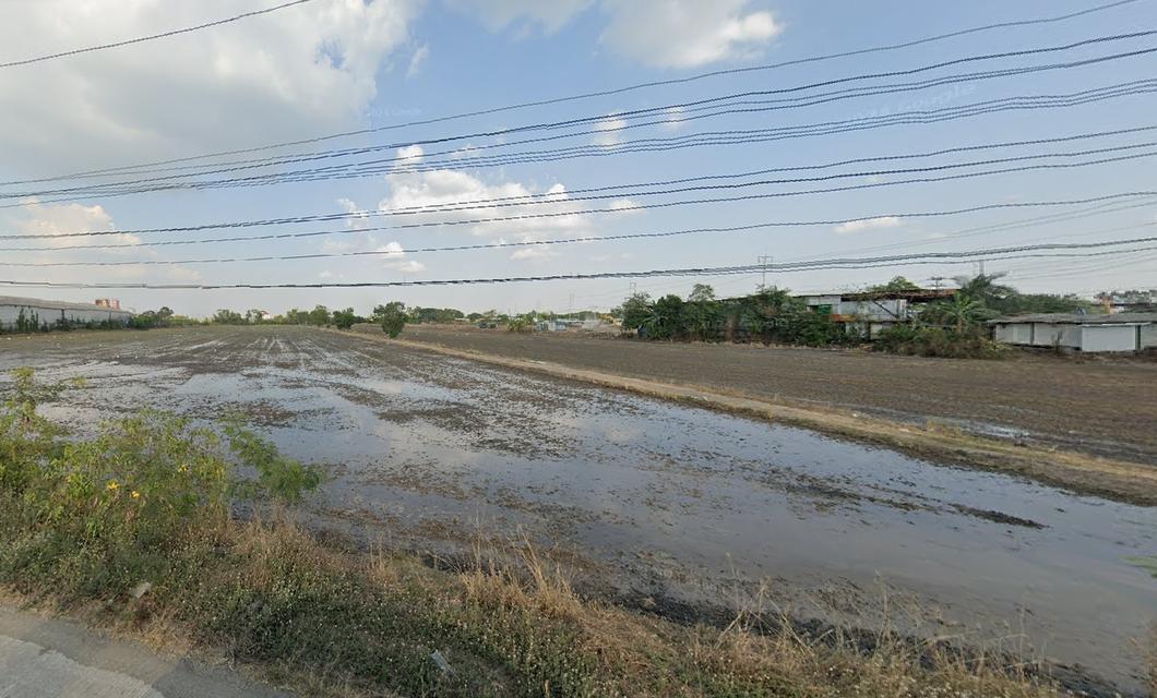 ที่ดิน40ไร่  พื้นที่สีขียว หน้าว้าง 135ม. ถนนคูขวาง 11 วัดจันทาราม ตำบล บางเตย อำเภสามโคก ปทุมธานี    3