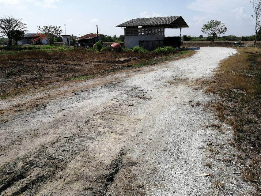 ขายที่ดิน 10ไร่ ใกล้ด่านมอเตอร์เวย์ บางปะกง 4
