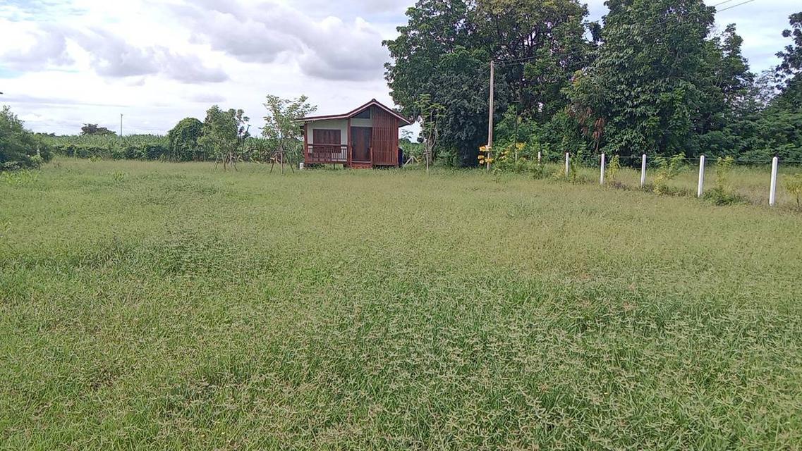 ที่ดินพร้อมบ้านและของใช้ต่างๆ 1