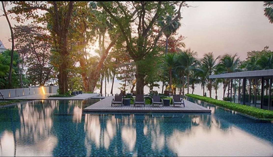 For rent Zire Wongamat Condo 52,000/month 8