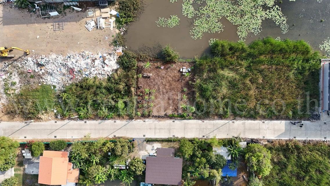 ที่ดินเปล่า 100 ตร.ว. ซอยบงกช 71 คลอง 2  คลองหลวง - ปทุมธานี 3