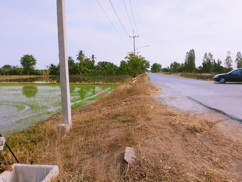 ที่ดินเปล่า เป็นที่นาติดถนนมีคลองชลประทานอยู่หน้าถนน อยู่ อำเภอเมือง จังหวัดสุพรรณบุรี ถนนไปมาง่าย น้ำไฟครบ สนใจติดต่อมาได้ค่ะ 3