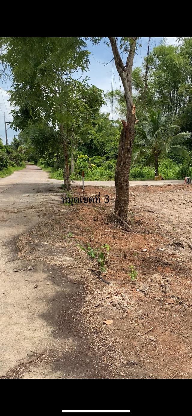 ขายที่ดินปราจีนบุรี ตำบลโคกไม้ลาย อำเภอเมืองปราจีนบุรี 5