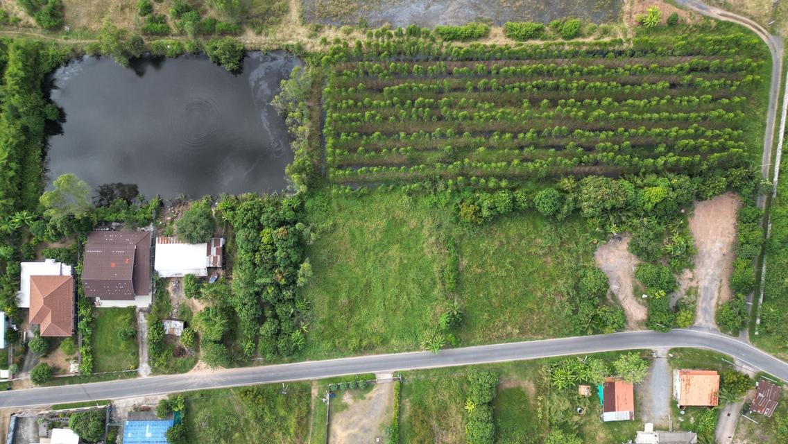 ขายที่ดินเปล่า 1 ไร่ ต.บ้านลำ อ.วิหารแดง สระบุรี หลัง รพ.วิหารแดง น้ำประปา ไฟฟ้าพร้อม บรรยากาศดี เหมาะสำหรับการพักอาศัย Tel 0818413784 2