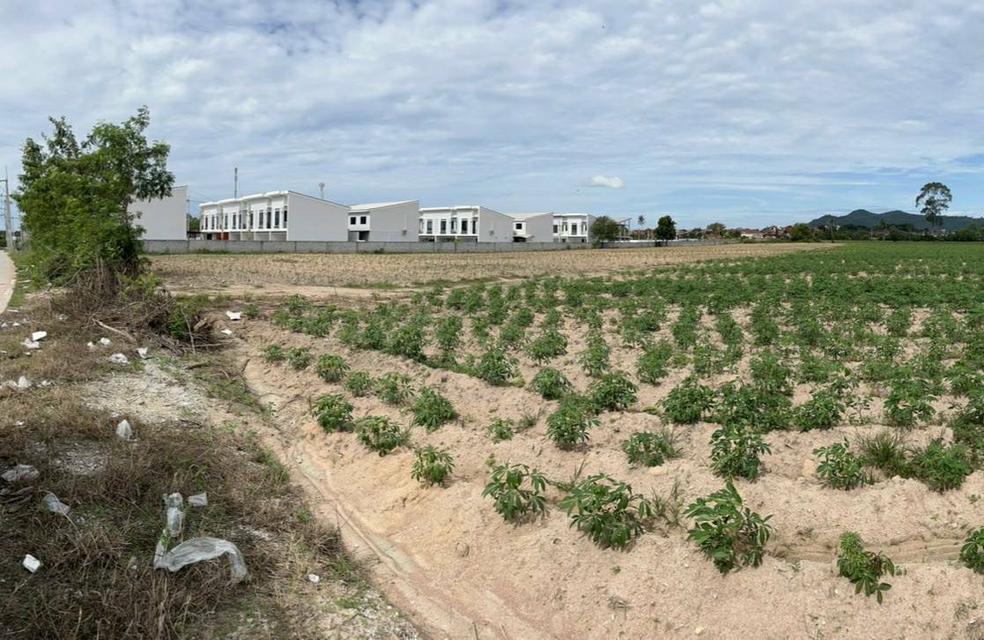 ที่ดิน สวยๆเขตบ้านฉาง อู่ตะเภา 3