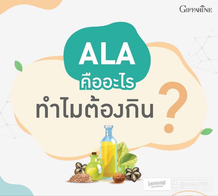 ALA โอเมก้า 3 จากพืช 2