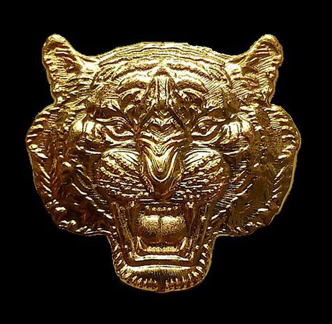 เหรียญหน้าเสือ หลวงพ่อพัฒน์ รุ่น พยัคฆ์๕แผ่นดิน วัดธารทหาร(ห้วยด้วน) 1