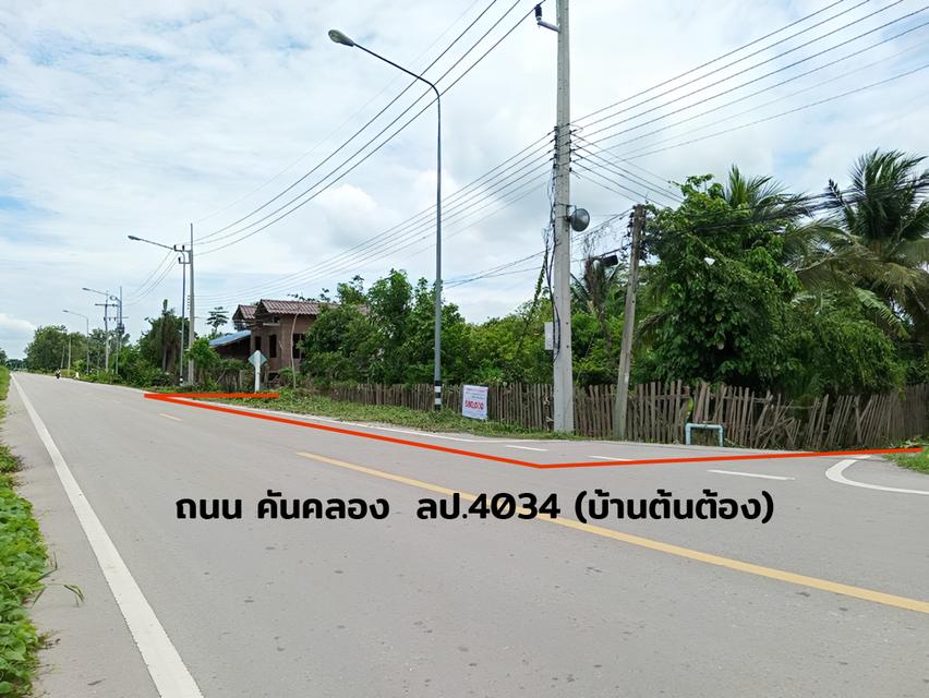 ขายที่ดินเปล่า 1 งาน 47 ตร.วา บ้านต้นต้อง ต.พิชัย อ.เมืองลำปาง 5