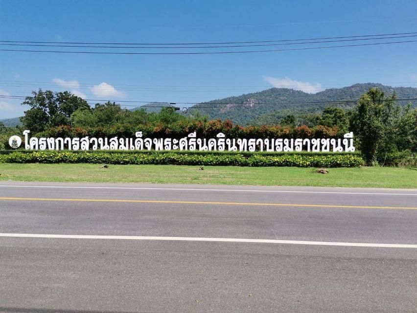ขายที่ดินเปล่า ชะอำ ติดสวนสมเด็จฯ เยื้องอ่างเก็บน้ำห้วยตะแปด 7