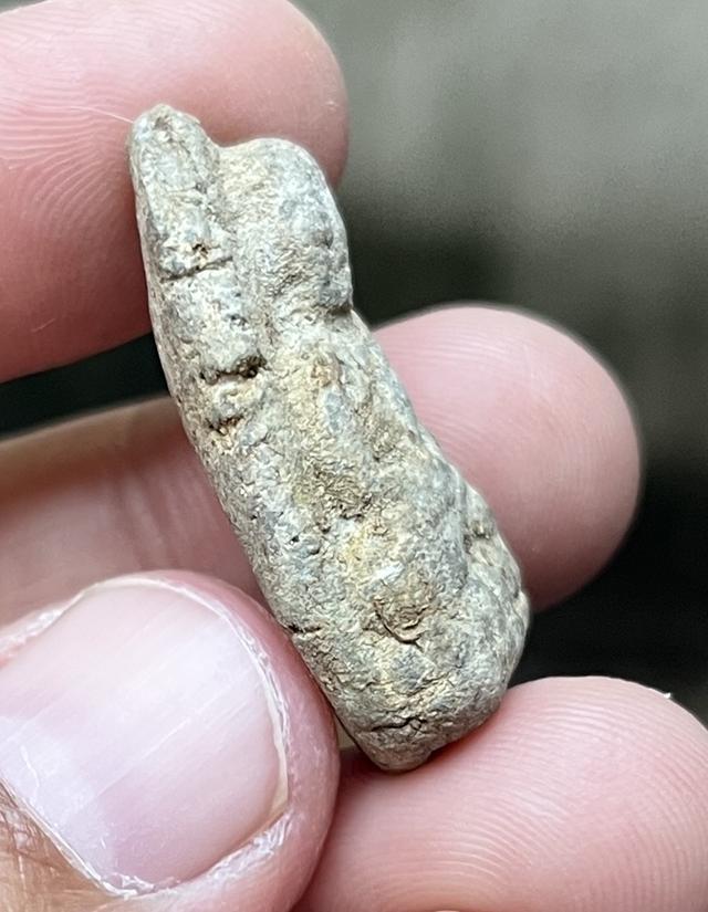 หลวงปู่ทวดเนื้อว่านเก่าๆ 3