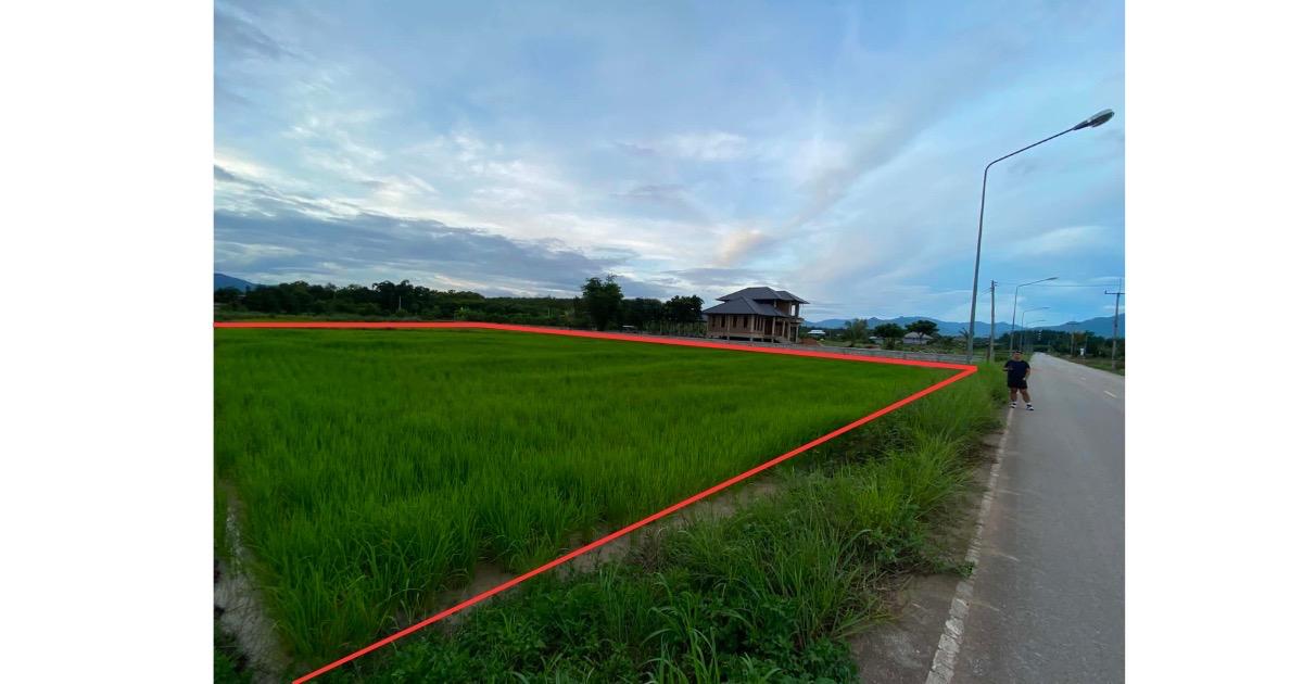 ที่ดิน1ไร่1งาน50ตรว. 10